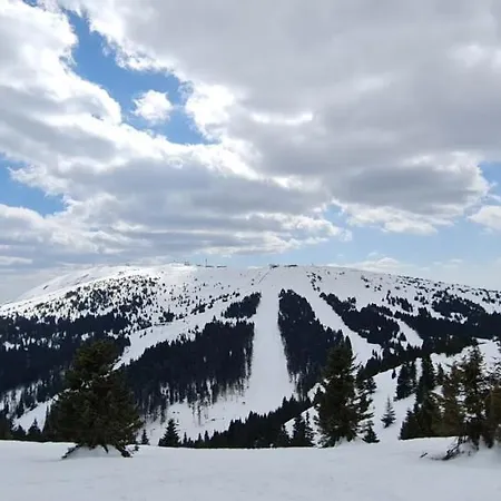 Popovic Apartmani, Suncani Breg * Kopaonik